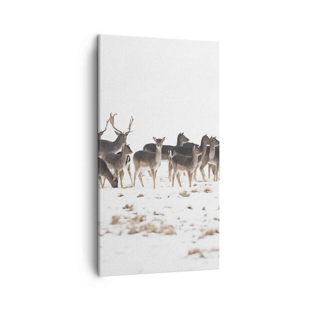 Impression sur toile - Image sur toile - Les fêtes approchent ? - 45x80 cm