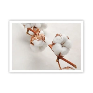 Affiche - Poster - Un brin de coton sur un fond subtil - 100x70cm - Seulement caliner - Décoration murale moderne pour le salon et la chambre ARTTOR