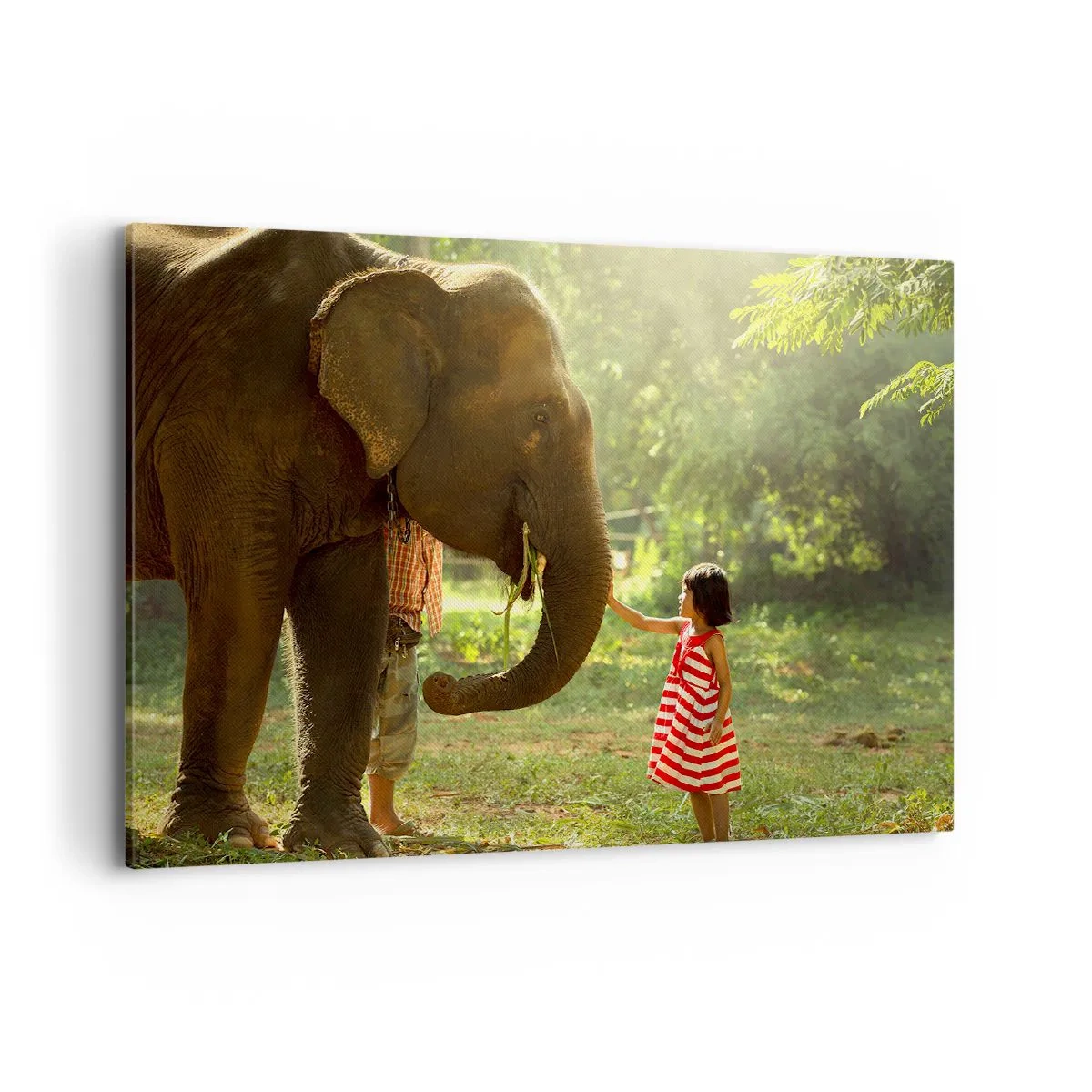 Impression sur toile - Image sur toile - Une fille en robe rouge touchant un éléphant dans la forêt. - 100x70cm - La force de l'amitié - Décoration murale moderne pour le salon et la chambre ARTTOR