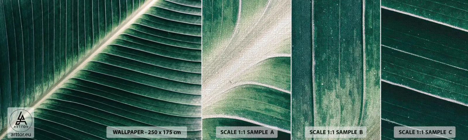 Échantillon de Papier Peint Premium Canvas - Le rythme de la nature - Abstraction, Feuille verte, Graphique - 100x30 cm