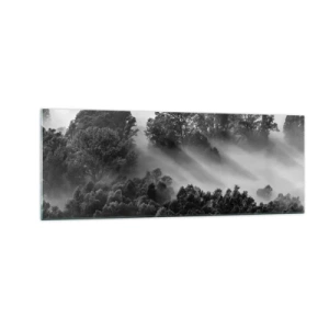 Impression sur verre - Image sur verre - Paysage forestier noir et blanc dans le brouillard du matin - 140x50cm - Sortir de son sommeil - Décoration murale moderne pour le salon et la chambre ARTTOR