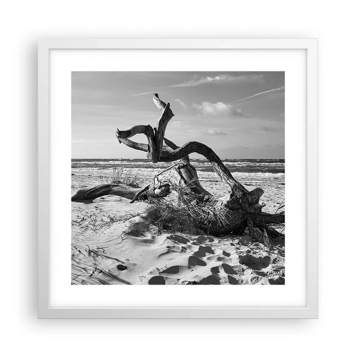 Affiche dans un cadre blanc - Poster - Sculpture marine - 40x40 cm