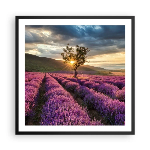 Affiche dans un cadre noir - Poster - Arôme de couleur lilas - 60x60 cm