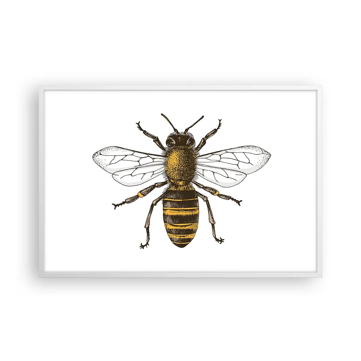 Affiche dans un cadre blanc - Poster - Belle et bonne - 91x61 cm