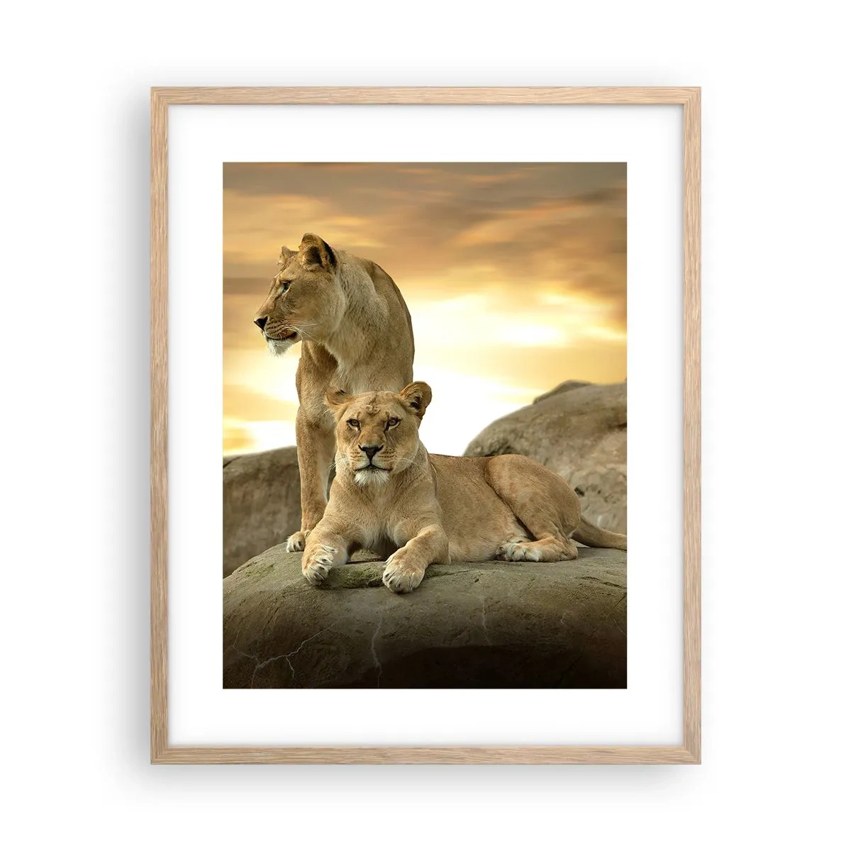 Affiche dans un chêne clair - Poster - Majesté royale - 40x50 cm