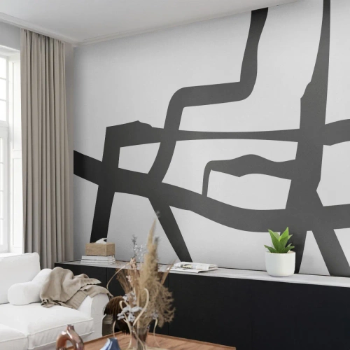 Papier Peint Photo Standard Eco - Conception noir et blanc - Doubler, Noir et blanc, Abstractionnisme - 500x350 cm