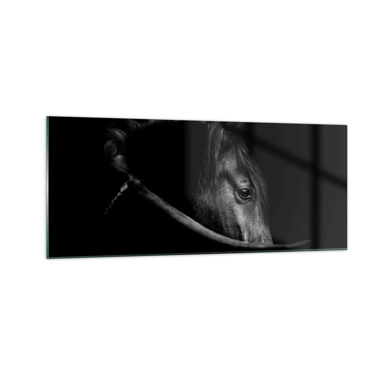 Impression sur verre - Image sur verre - Prince Noir - 100x40 cm