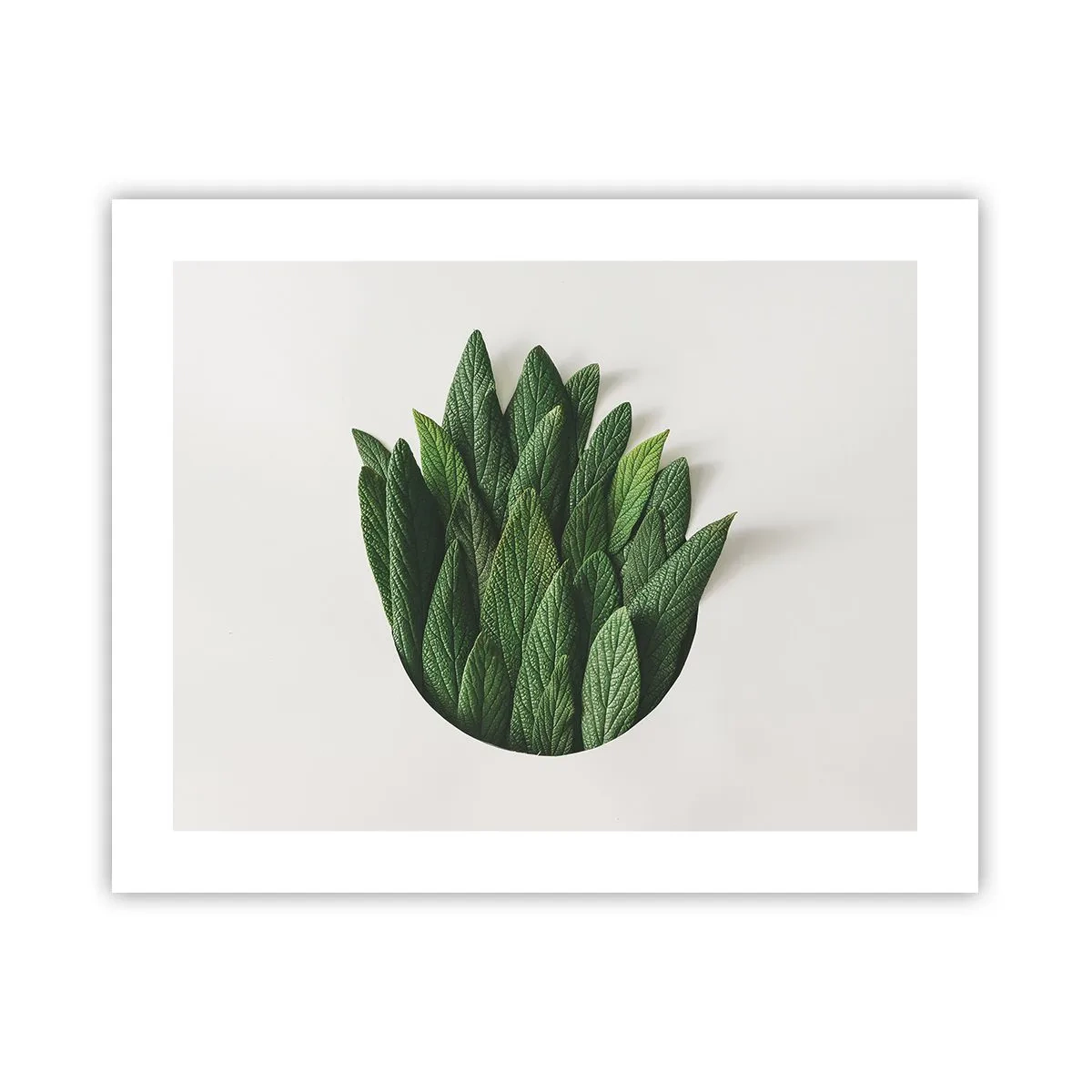 Affiche - Poster - Curiosité sans retenue - 50x40 cm