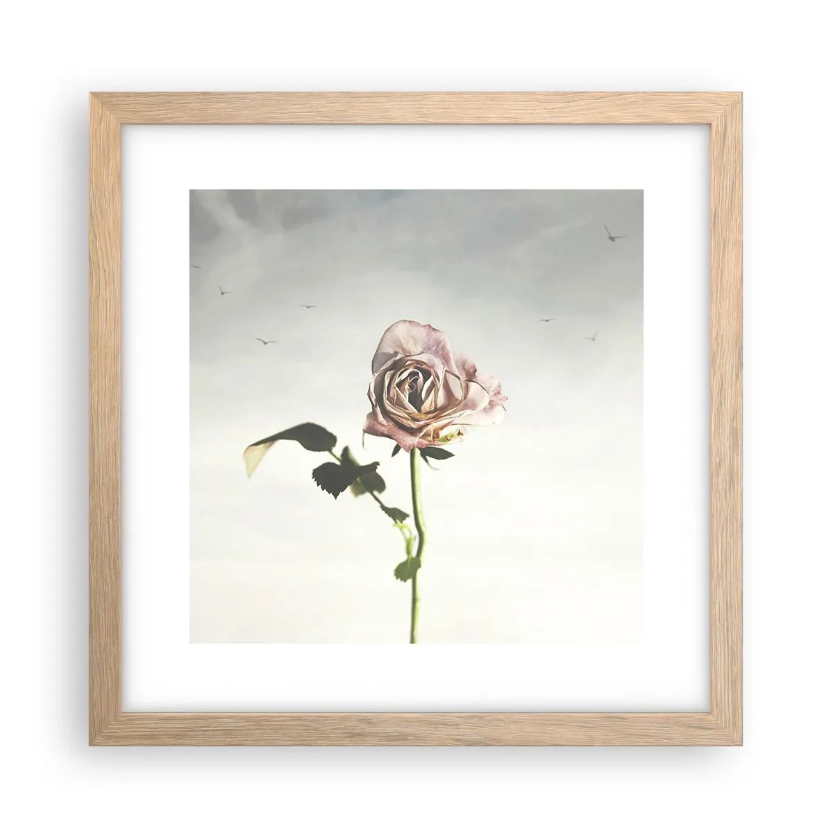 Affiche dans un chêne clair - Poster - Bonjour de printemps - 30x30 cm