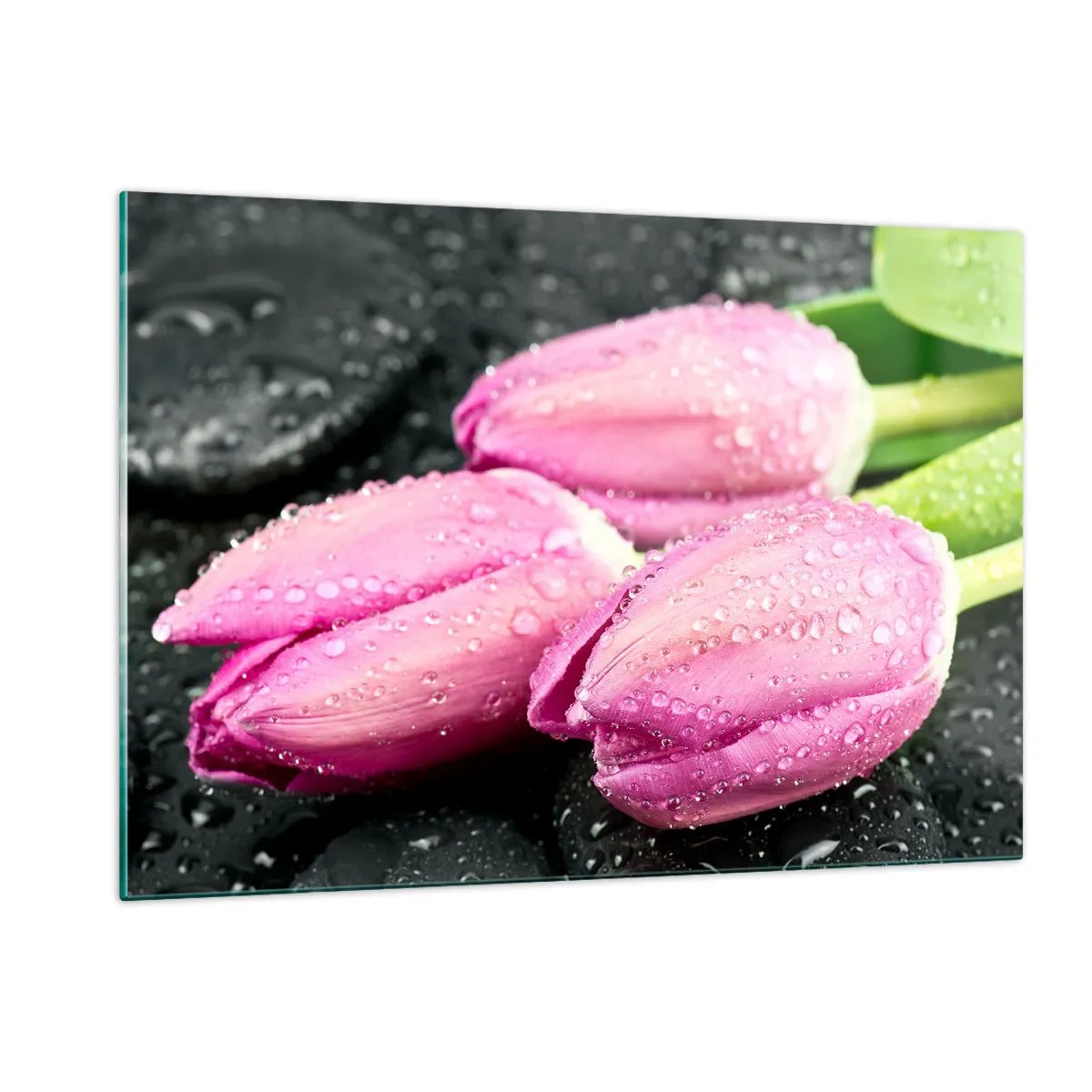 Impression sur verre - Image sur verre - Trois tulipes roses recouvertes de gouttes d'eau sur fond noir. - 120x80cm - Lilas trois sur une pierre noire - Décoration murale moderne pour le salon et la chambre ARTTOR