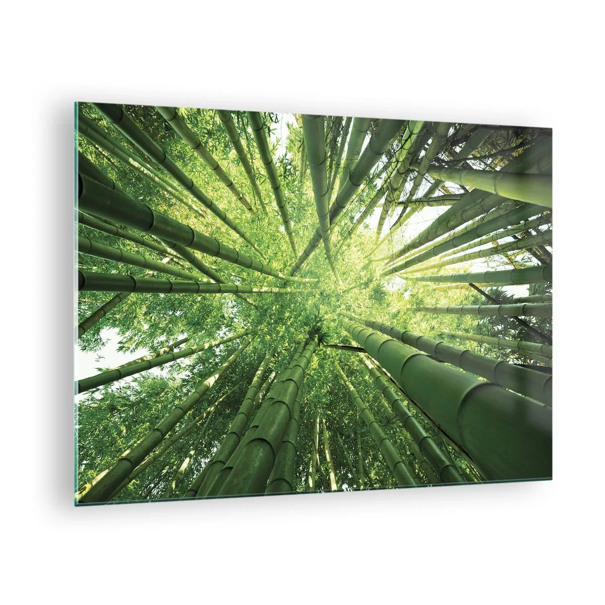 Impression sur verre - Image sur verre - Vue en perspective ascendante de la forêt de bambous - 70x50cm - Dans une bambouseraie - Décoration murale moderne pour le salon et la chambre ARTTOR