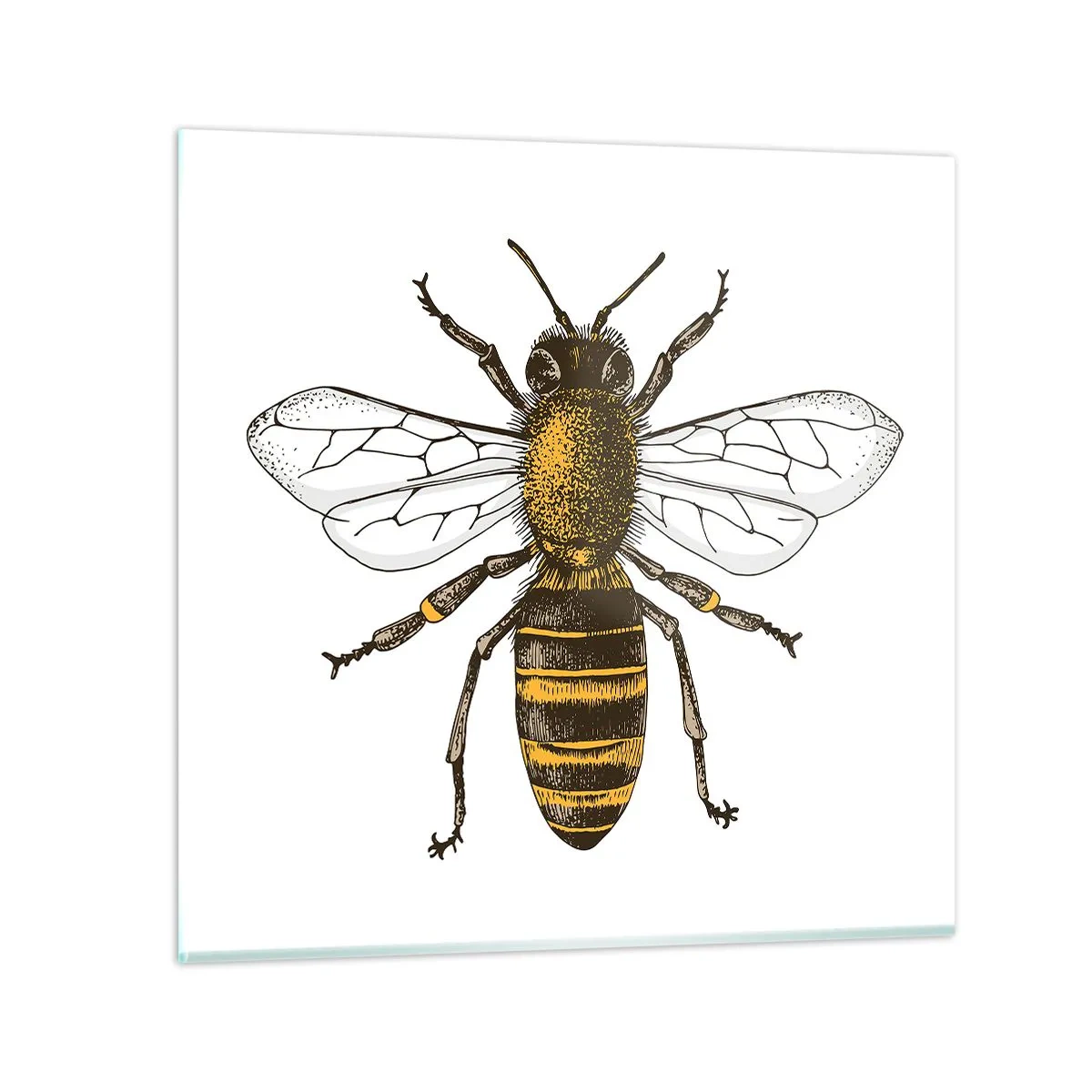 Impression sur verre - Image sur verre - Belle et bonne - 50x50 cm