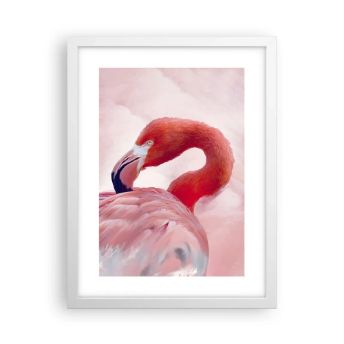 Affiche dans un cadre blanc - Poster - Beauté des oiseaux - 30x40 cm