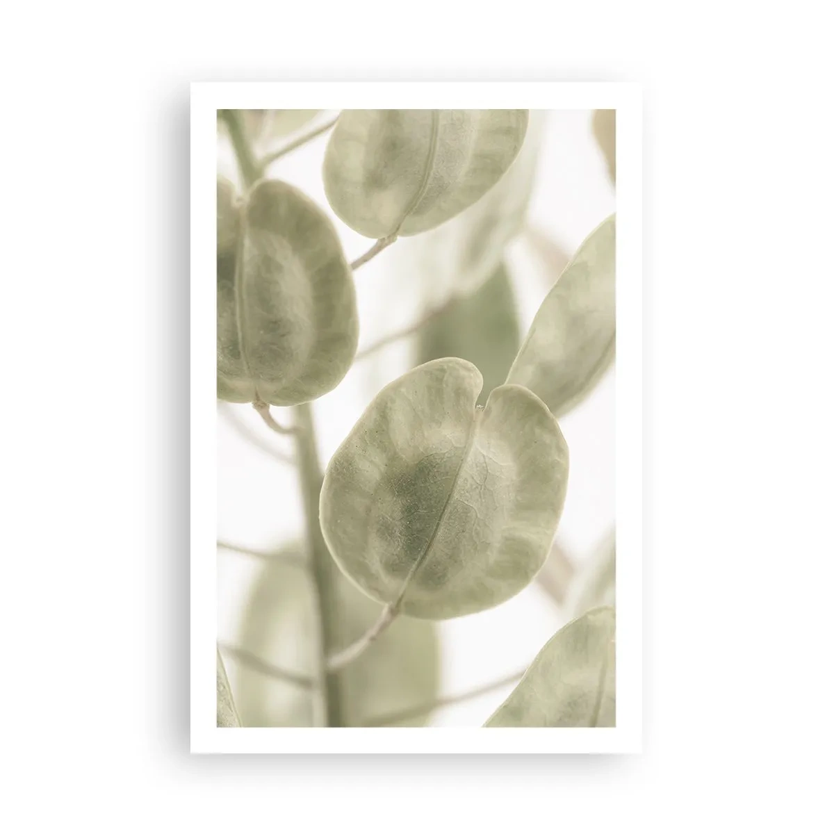 Affiche - Poster - Au commencement il y avait des feuilles... - 61x91 cm