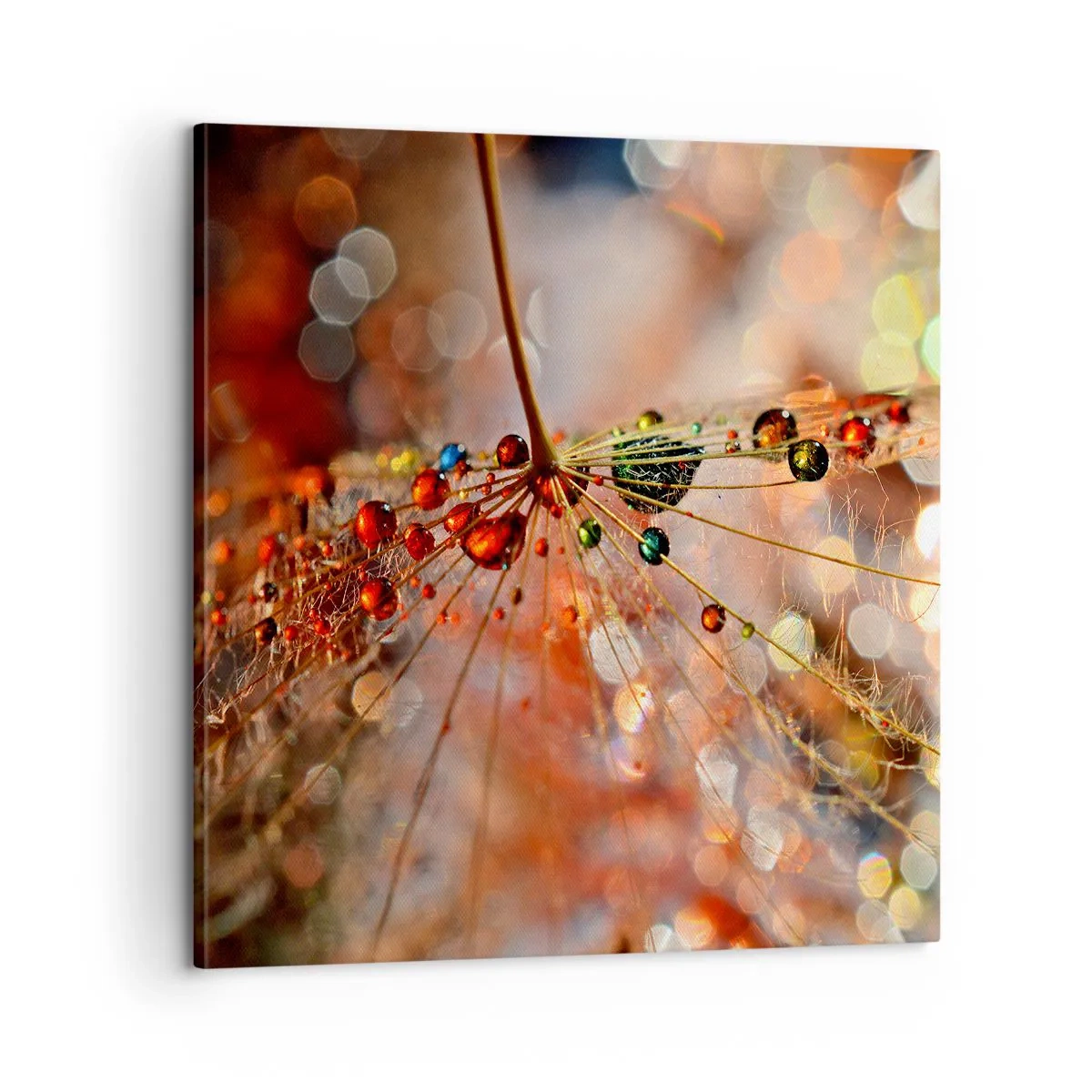 Impression sur toile - Image sur toile - Enfilé sur un fil d'araignée - 60x60 cm