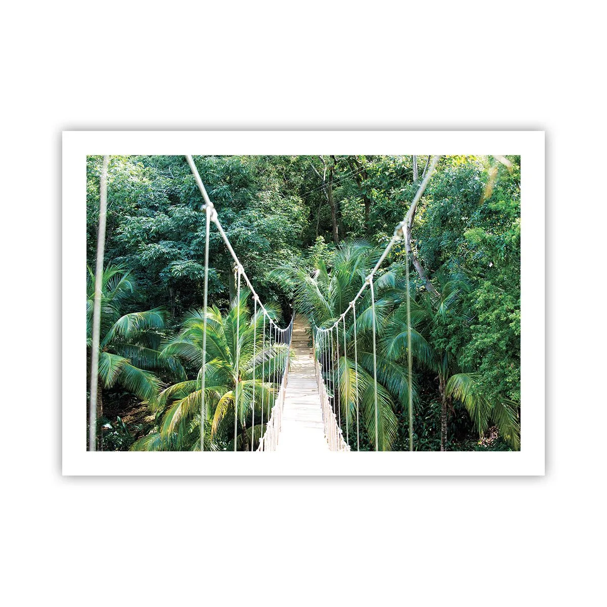 Affiche - Poster - Welcome to the jungle! - 70x50 cm