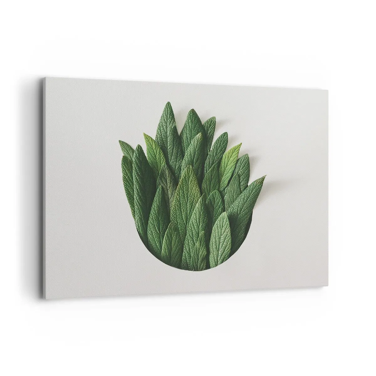 Impression sur toile - Image sur toile - Une composition de feuilles vertes sur un fond clair - 100x70cm - Curiosité sans retenue - Décoration murale moderne pour le salon et la chambre ARTTOR