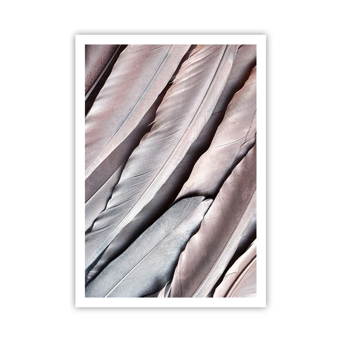 Affiche - Poster - En argent rose - 70x100 cm