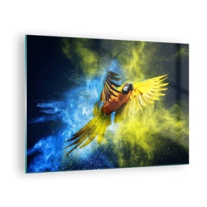 Impression sur verre - Image sur verre - Un perroquet coloré en vol sur un fond jaune et bleu - 70x50cm - Dans la poussière bleue et dorée - Décoration murale moderne pour le salon et la chambre ARTTOR