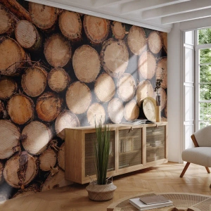 Papier Peint Photo Standard Eco - Troncs d'arbres disposés en coupe transversale - 100x70cm - Nouveau commencement - Décoration murale moderne pour le salon et la chambre ARTTOR
