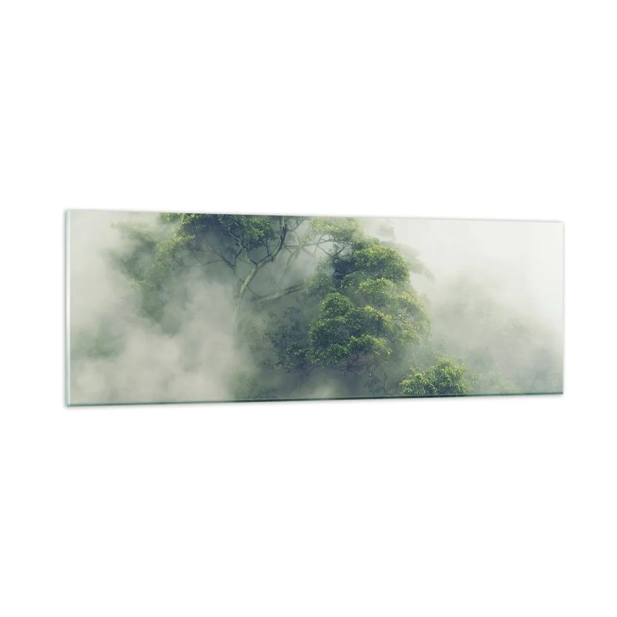Impression sur verre - Image sur verre - Enveloppé de brouillard - 90x30 cm