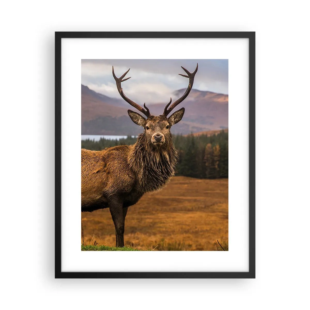 Affiche dans un cadre noir - Poster - Majesté de la nature - 40x50 cm