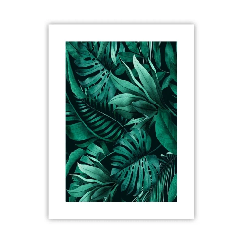 Affiche - Poster - Profondeur du vert tropical - 30x40 cm