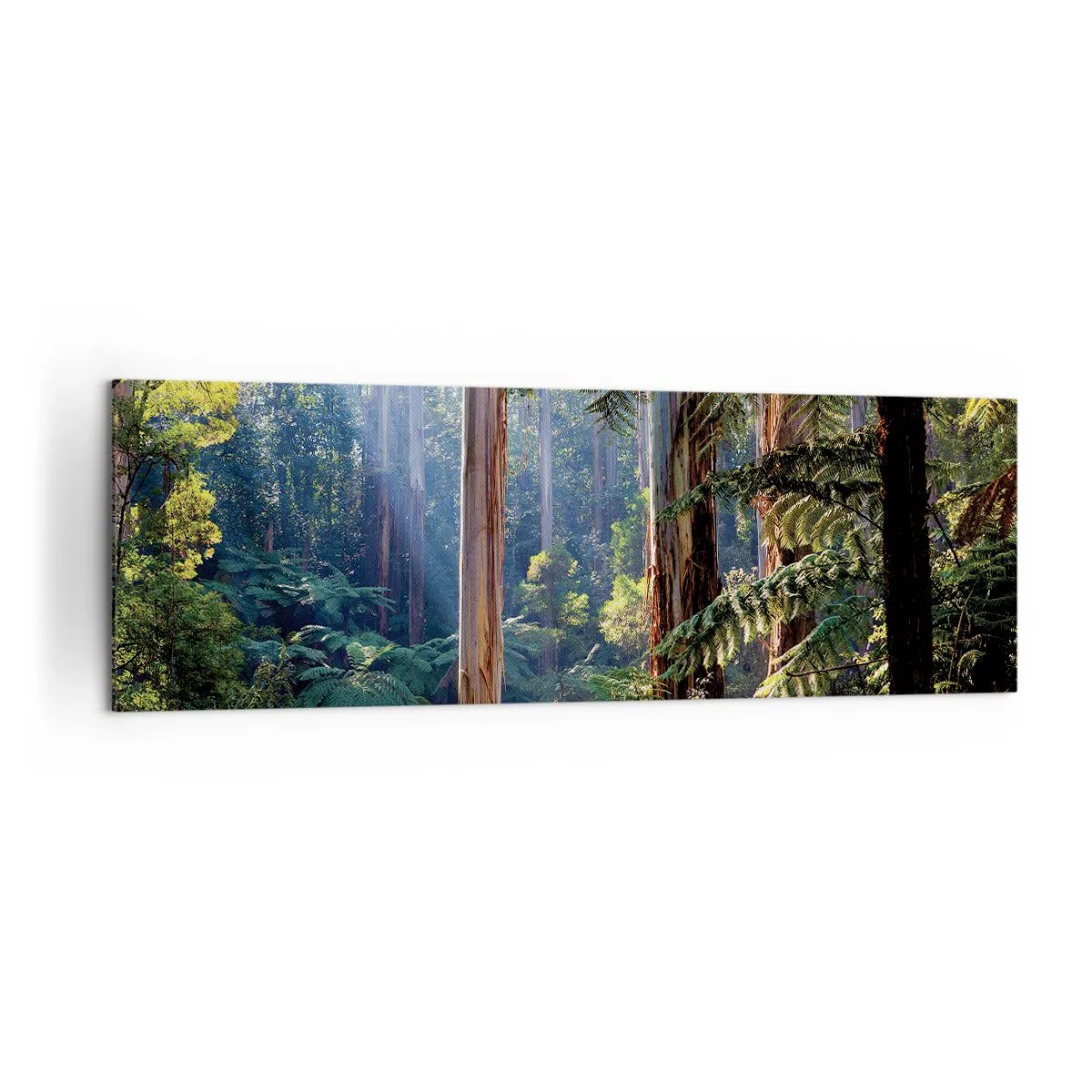 Impression sur toile - Image sur toile - Forêt tropicale illuminée par les rayons du soleil - 160x50cm - Fable de la forêt - Décoration murale moderne pour le salon et la chambre ARTTOR