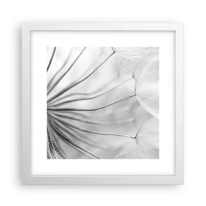 Affiche dans un cadre blanc - Poster - Aigrette avant son envol - 30x30 cm