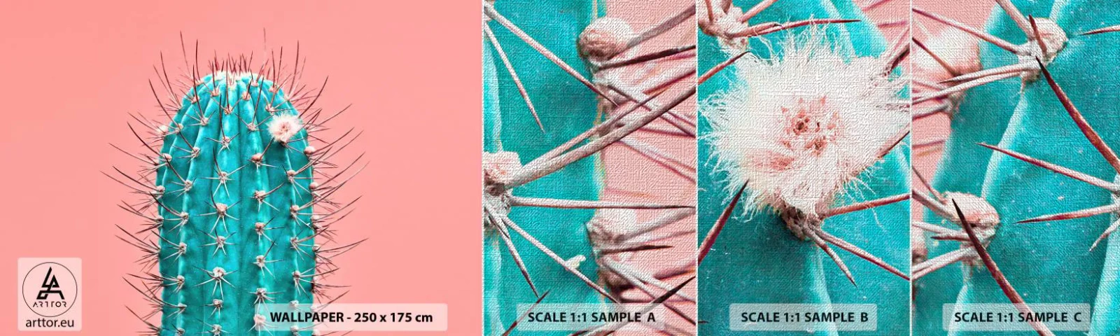 Échantillon de Papier Peint Premium Canvas - Juste regarde - Cactus, Pastel, Minimalisme - 100x30 cm