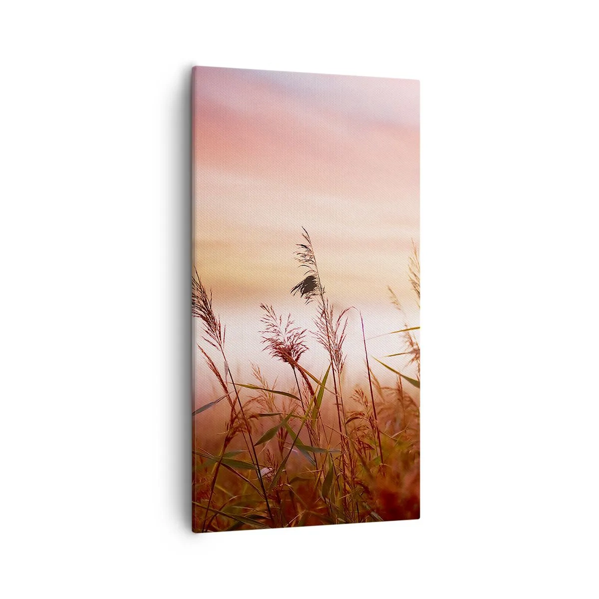 Impression sur toile - Image sur toile - Cerfs-volants, pissenlits, vent - 55x100 cm