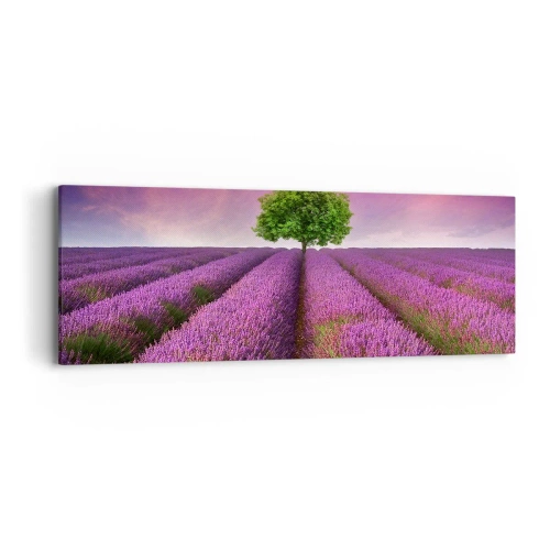 Impression sur toile - Image sur toile - Dans un champs de lavande - 90x30 cm