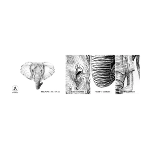 Échantillon De Papier Peint Standard Eco - "Un éléphant ça trompe bien souvent" - Animaux, Éléphant, Graphique - 100x30 cm