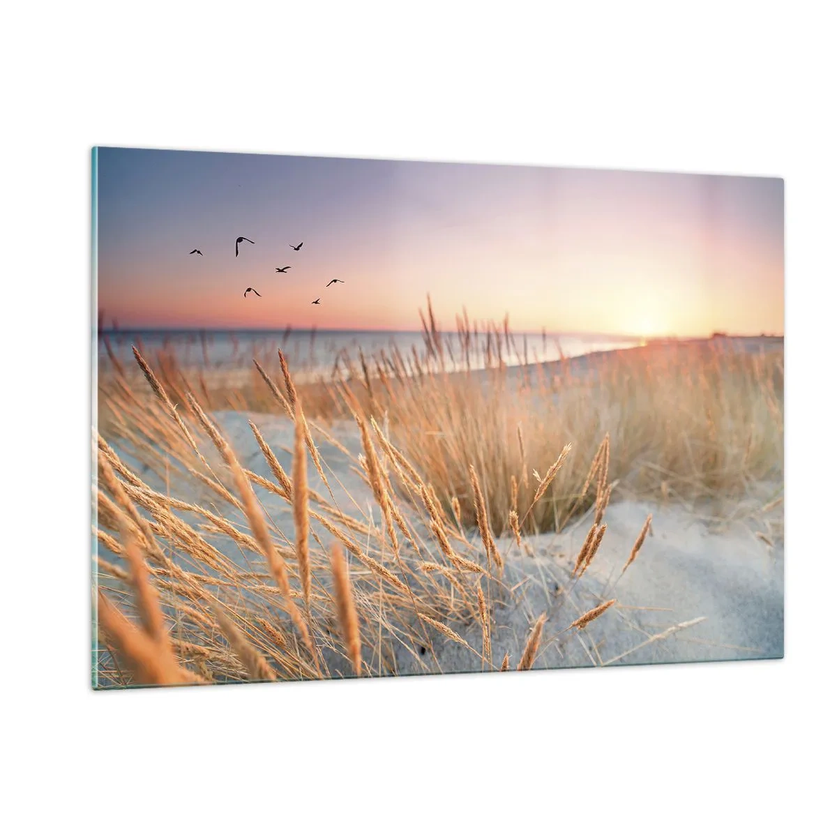 Impression sur verre - Image sur verre - Une plage avec de l'herbe et le soleil couchant sur la mer - 120x80cm - Berceuse baltique - Décoration murale moderne pour le salon et la chambre ARTTOR