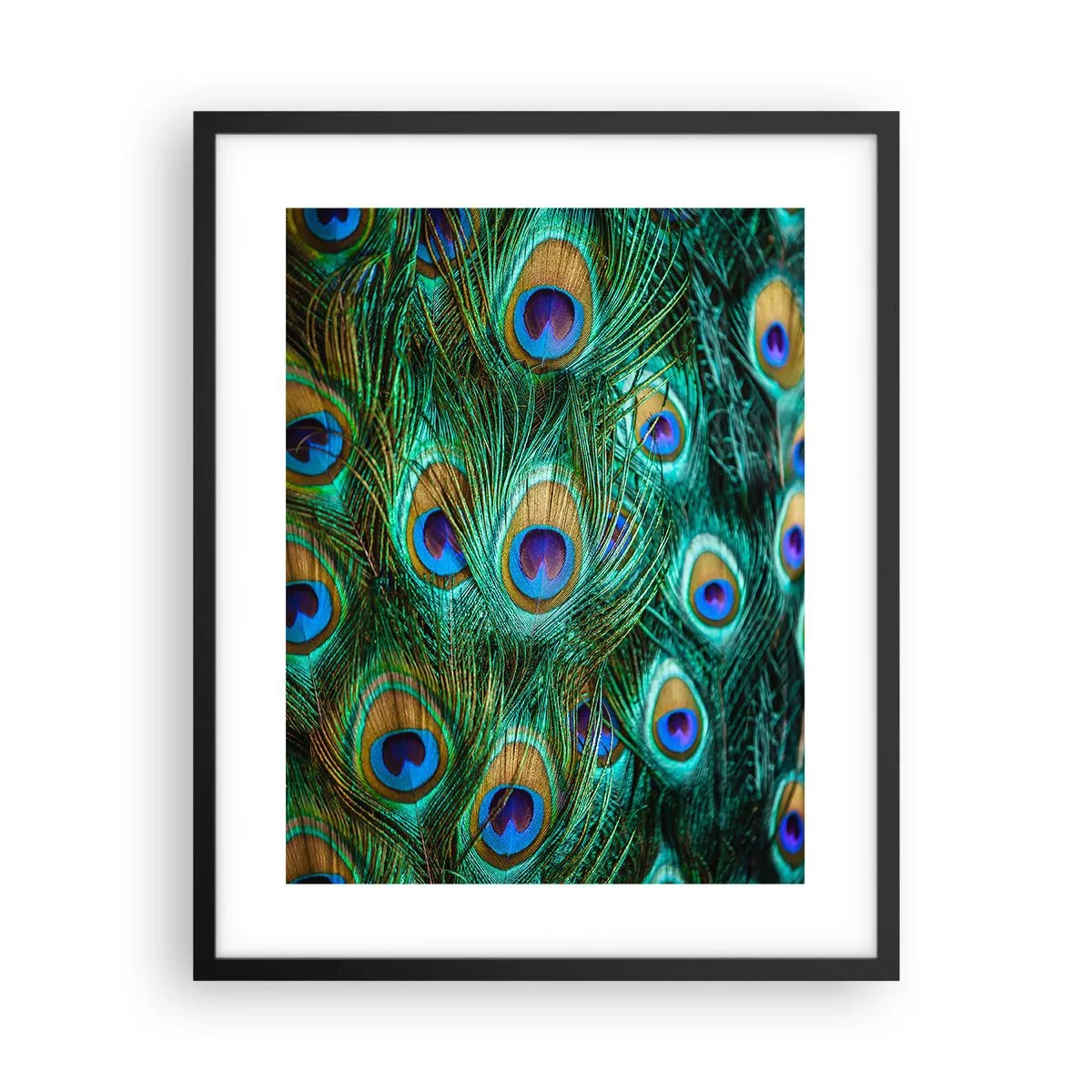 Affiche dans un cadre noir - Poster - Un regard de paon - 40x50 cm