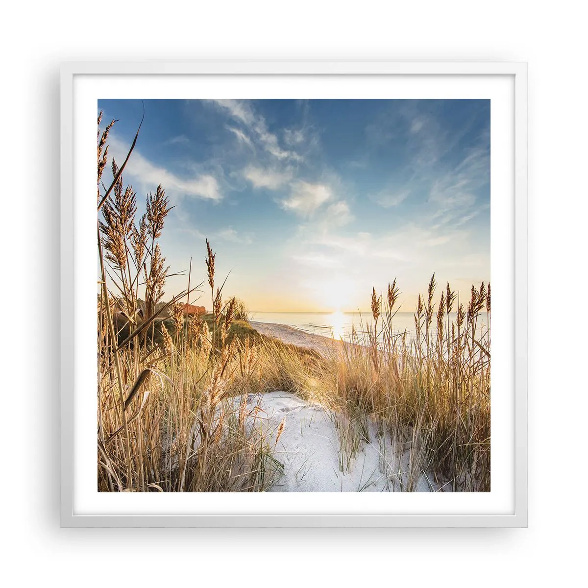 Affiche dans un cadre blanc - Poster - Plage du nord - 60x60 cm