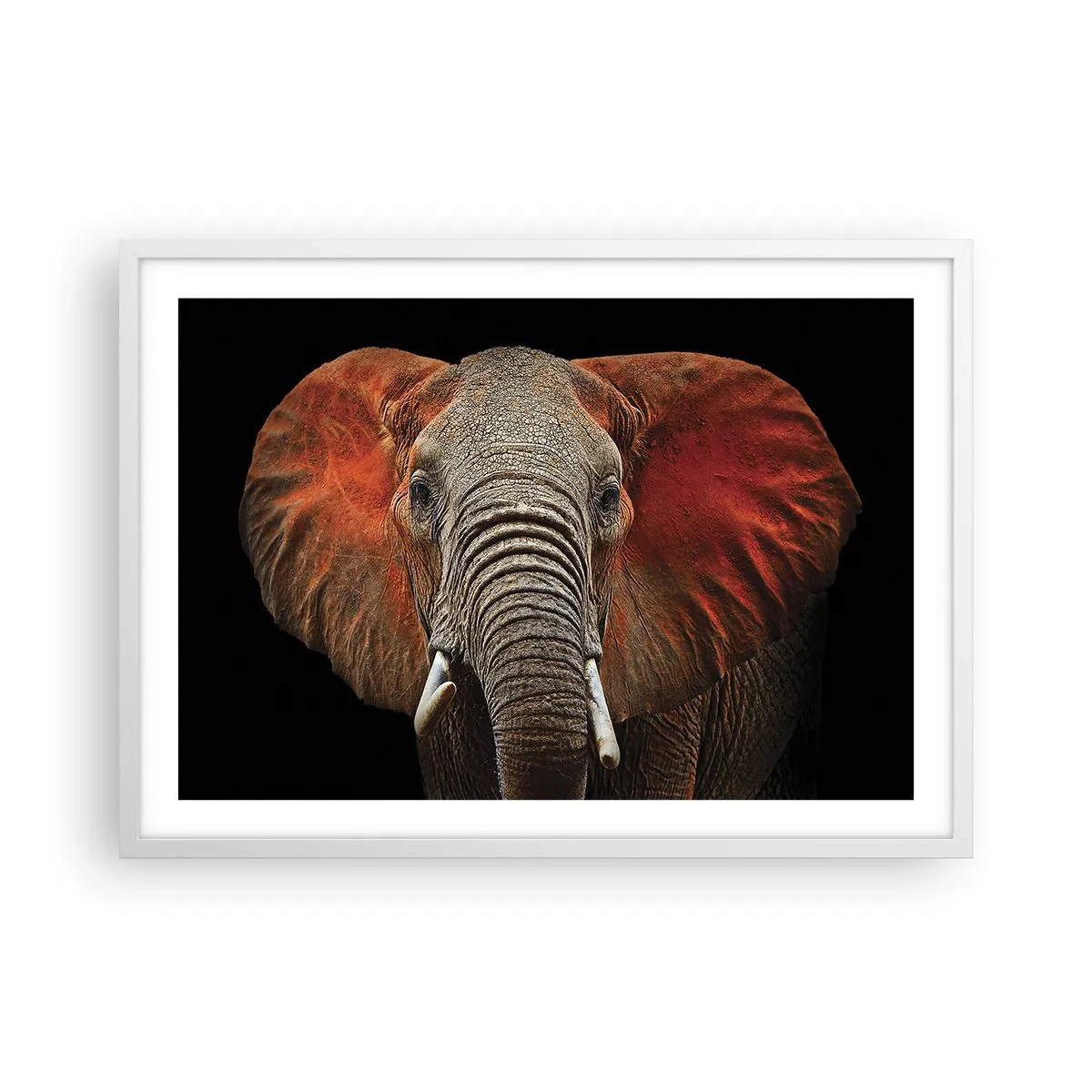 Affiche dans un cadre blanc - Poster - Je suis sauvage, et toi? - 70x50 cm