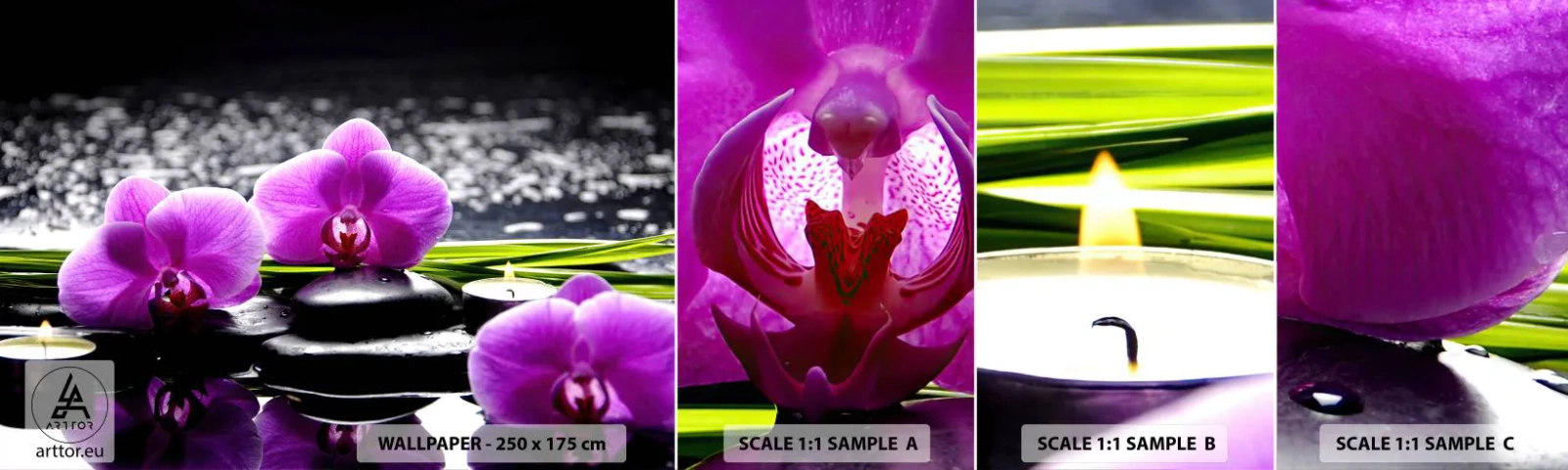 Échantillon De Papier Peint Standard Eco - Se noyer dans la paix et la tranquillité - Fleurs, Orchidée, Orchidée - 100x30 cm