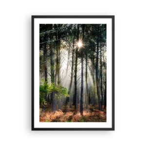 Affiche dans un cadre noir - Poster - Rayons de soleil magiques dans le paysage forestier - 50x70cm - Une zone forestière - Décoration murale moderne pour le salon et la chambre ARTTOR