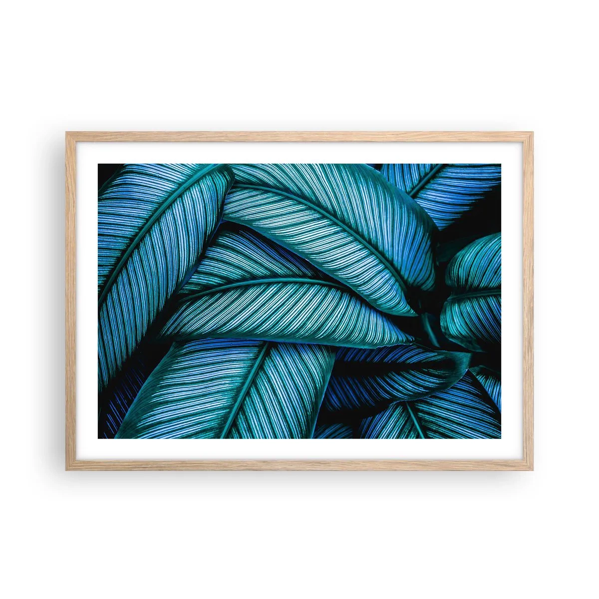 Affiche dans un chêne clair - Poster - Lignes de vie - 70x50 cm