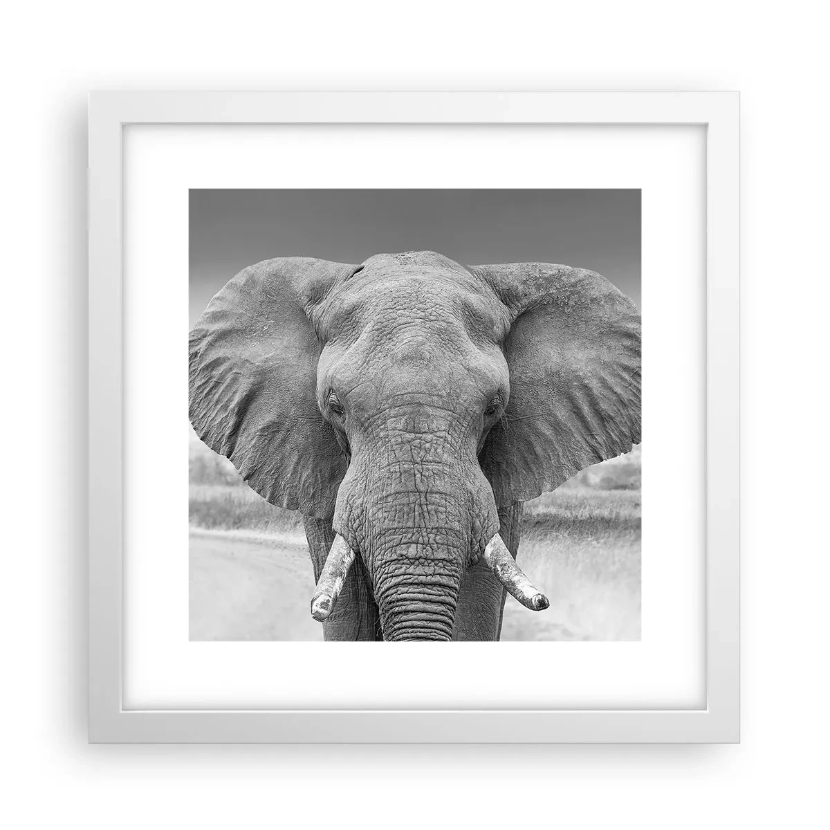 Affiche dans un cadre blanc - Poster - Bienvenue dans mon monde - 30x30 cm