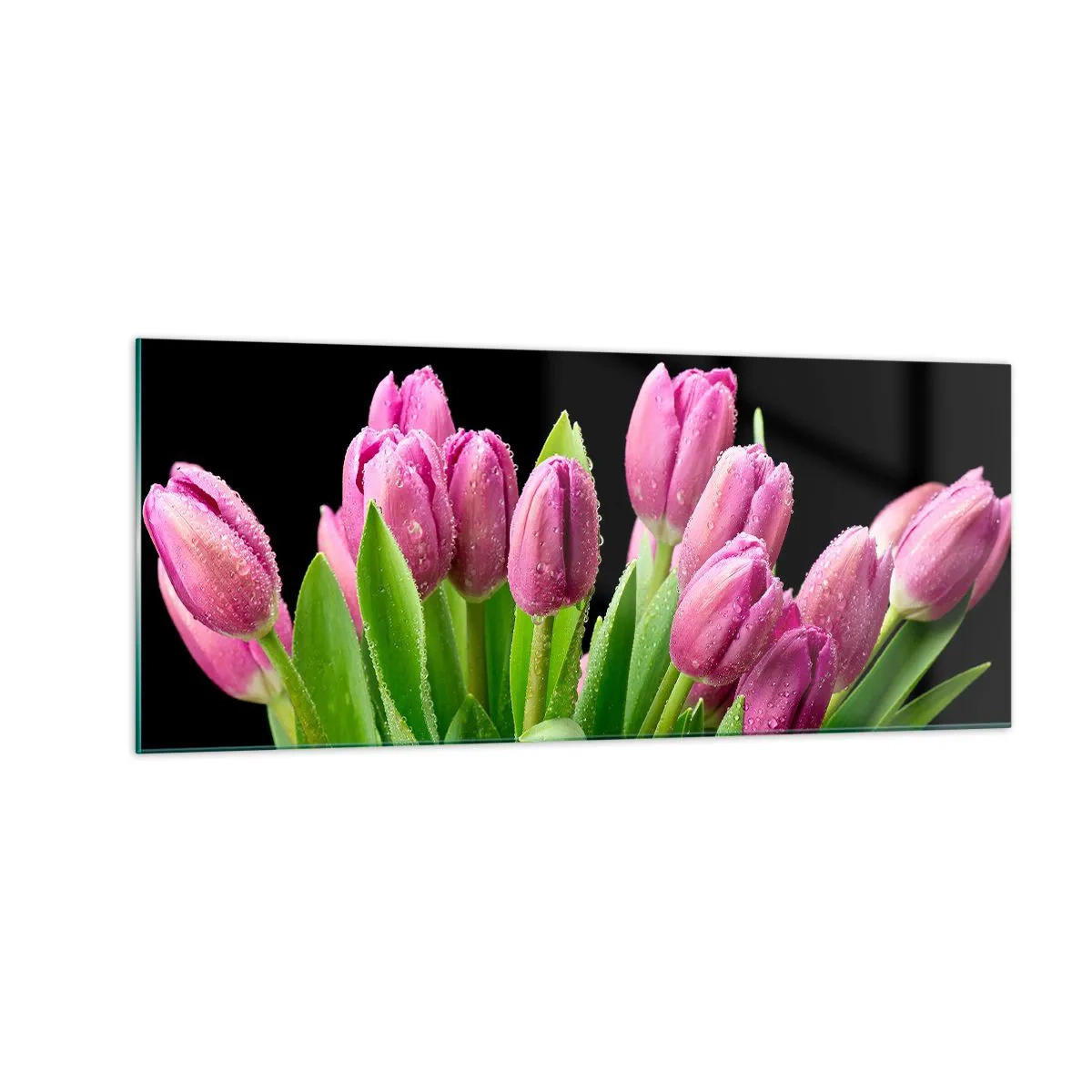 Impression sur verre - Image sur verre - Joie printanière des lilas - 100x40 cm