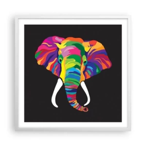 Affiche dans un cadre blanc - Poster - L'éléphant qui aimait se baigner dans un arc-en-ciel - 60x60 cm