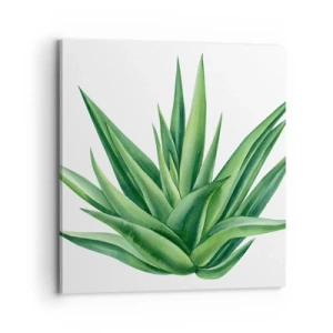 Impression sur toile - Image sur toile - Vert – force – vie - 70x70 cm