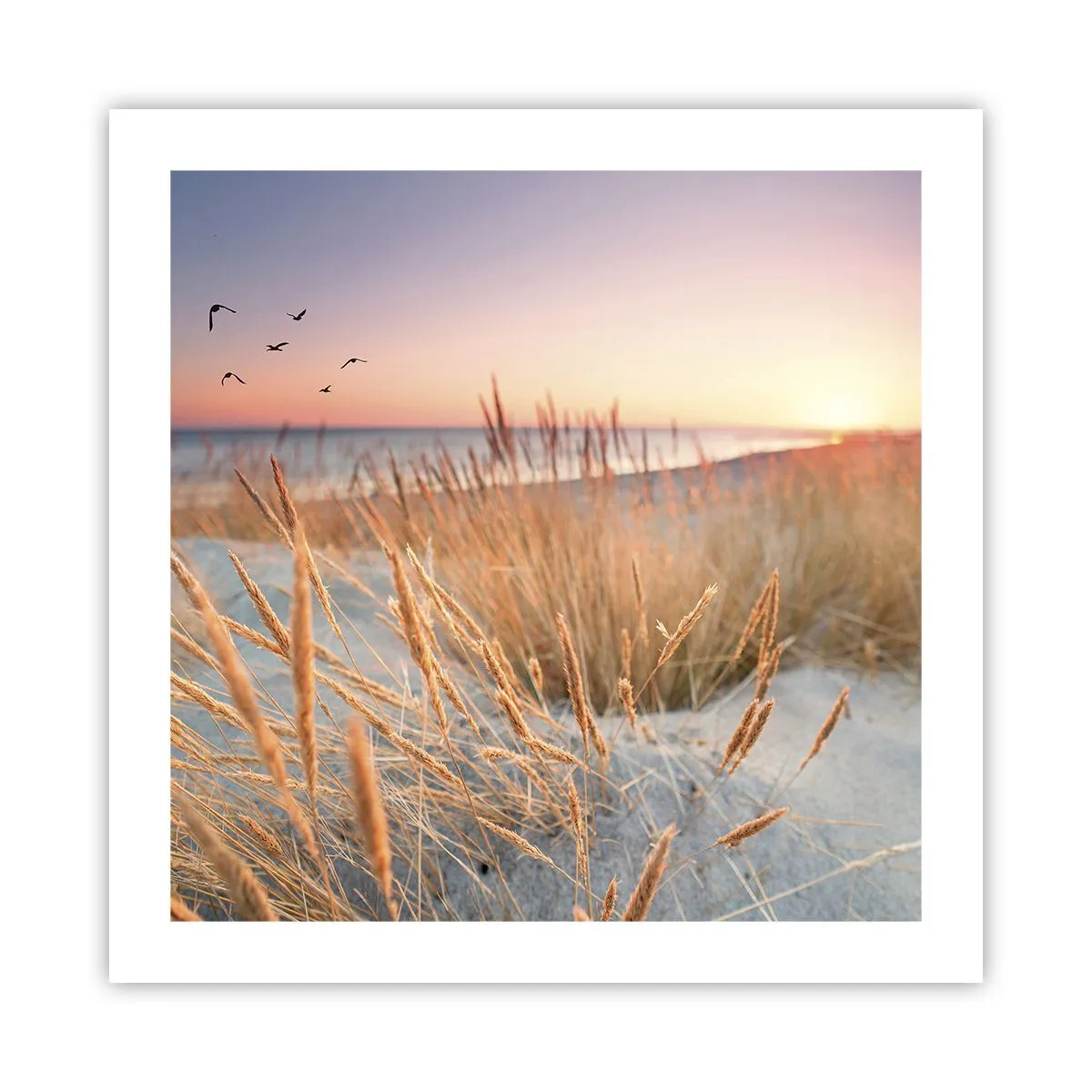 Affiche - Poster - Berceuse baltique - 50x50 cm