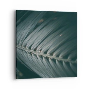 Impression sur toile - Image sur toile - Précision de la nature - 40x40 cm