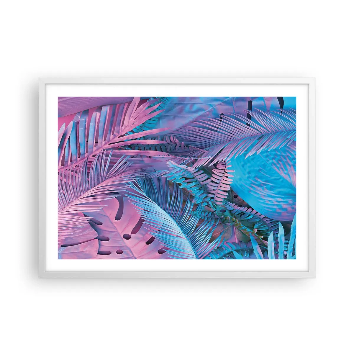 Affiche dans un cadre blanc - Poster - Les tropiques en rose et bleu - 70x50 cm