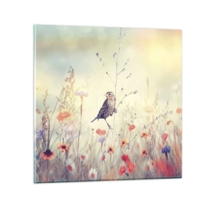 Impression sur verre - Image sur verre - Portrait d'oiseau sur pré en fond - 30x30 cm