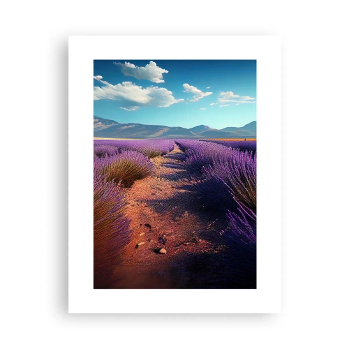 Affiche - Poster - Champs parfumés - 30x40 cm