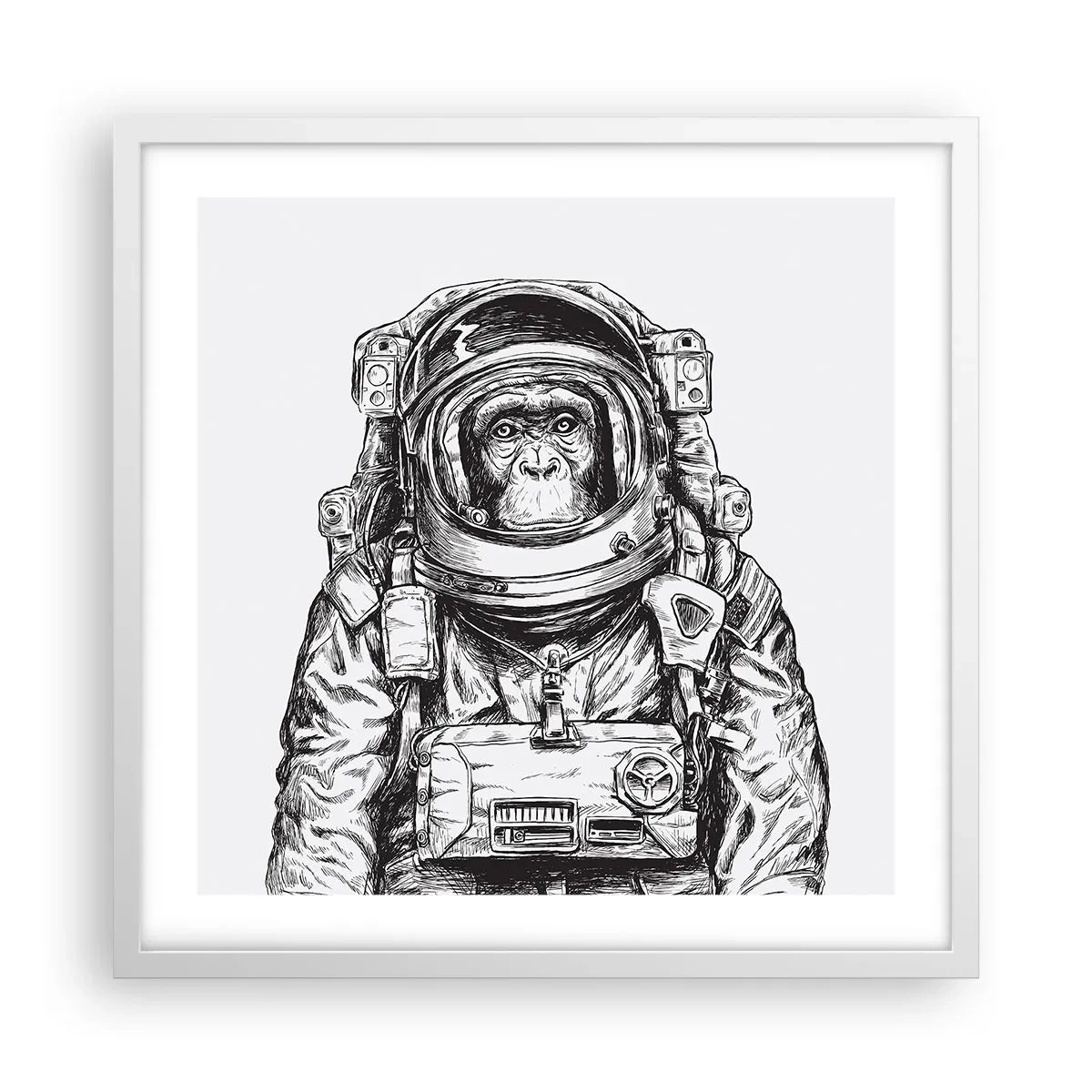 Affiche dans un cadre blanc - Poster - Évolution alternative - 50x50 cm